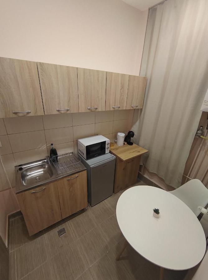Lovely Apartment In The Heart Of The City Тимишоара Экстерьер фото
